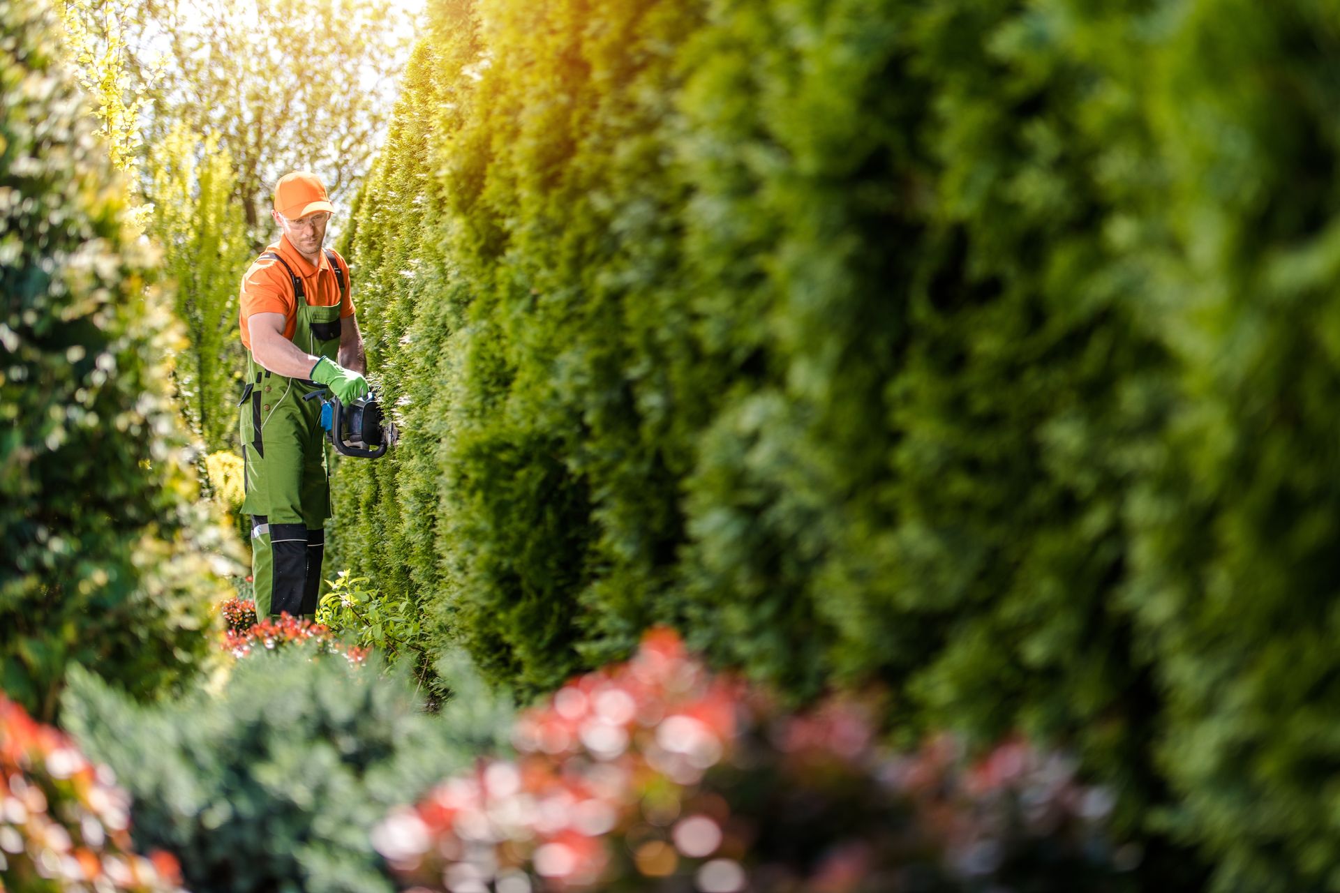 Gärtner von Butzbach Facility & Service schneidet eine Hecke in einem gepflegten Garten im Westerwald